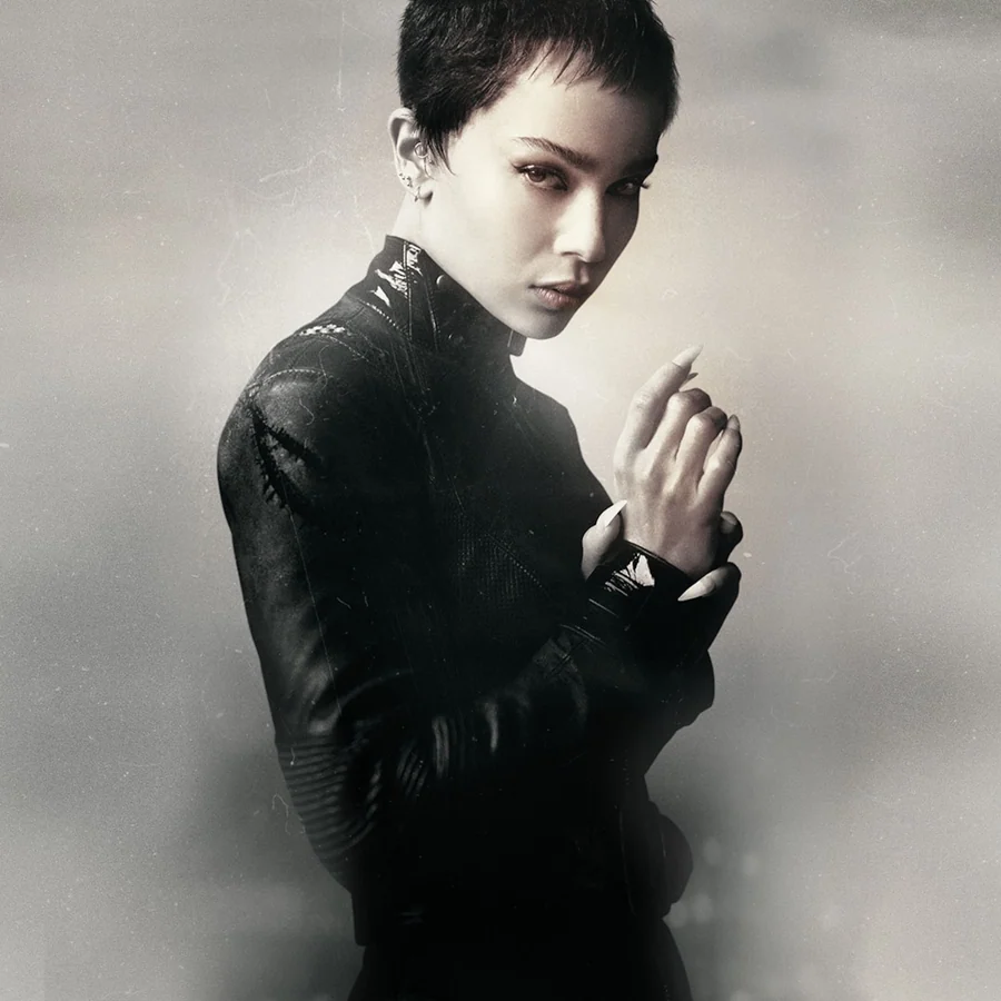Catwoman — DC character artwork