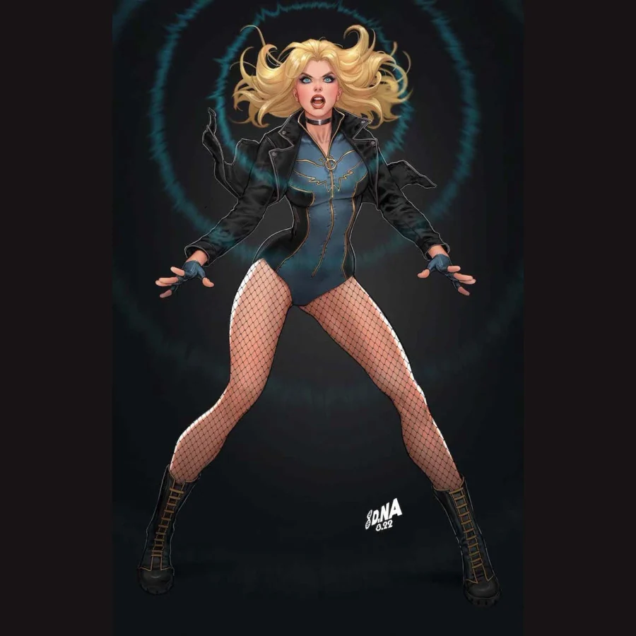 Black Canary — DC — Gotham character artwork
