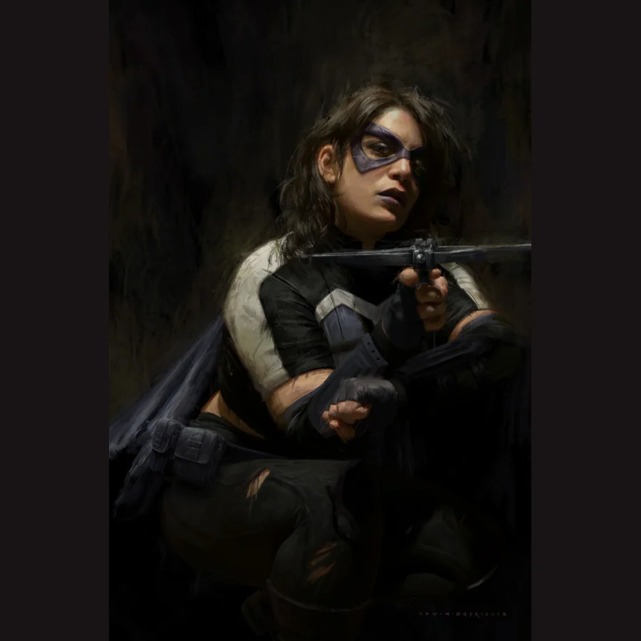 Huntress — DC — Gotham character artwork