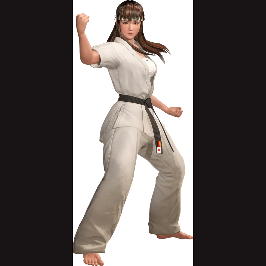 Hitomi — Dead or Alive official character artwork