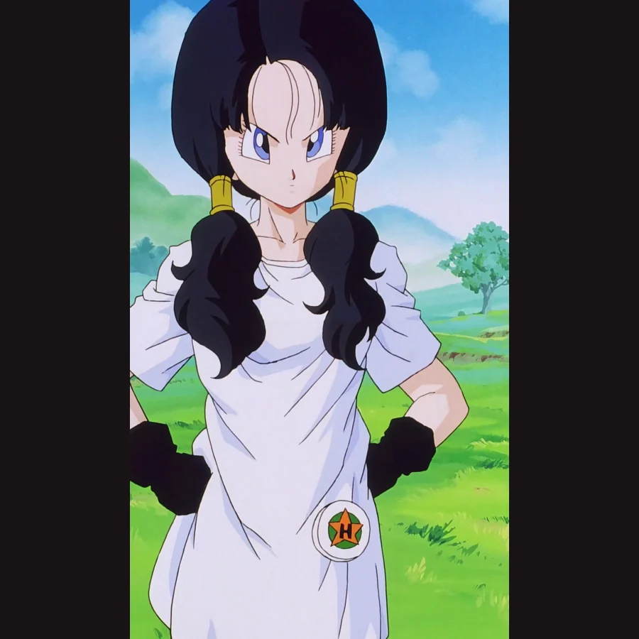 Videl — Dragon Ball character artwork