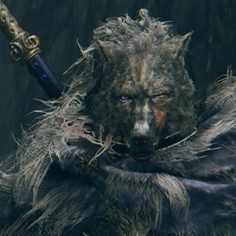 Blaidd — Elden Ring character artwork