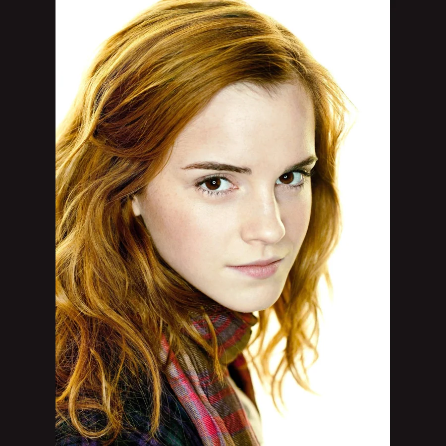 Hermione Granger — Harry Potter character artwork