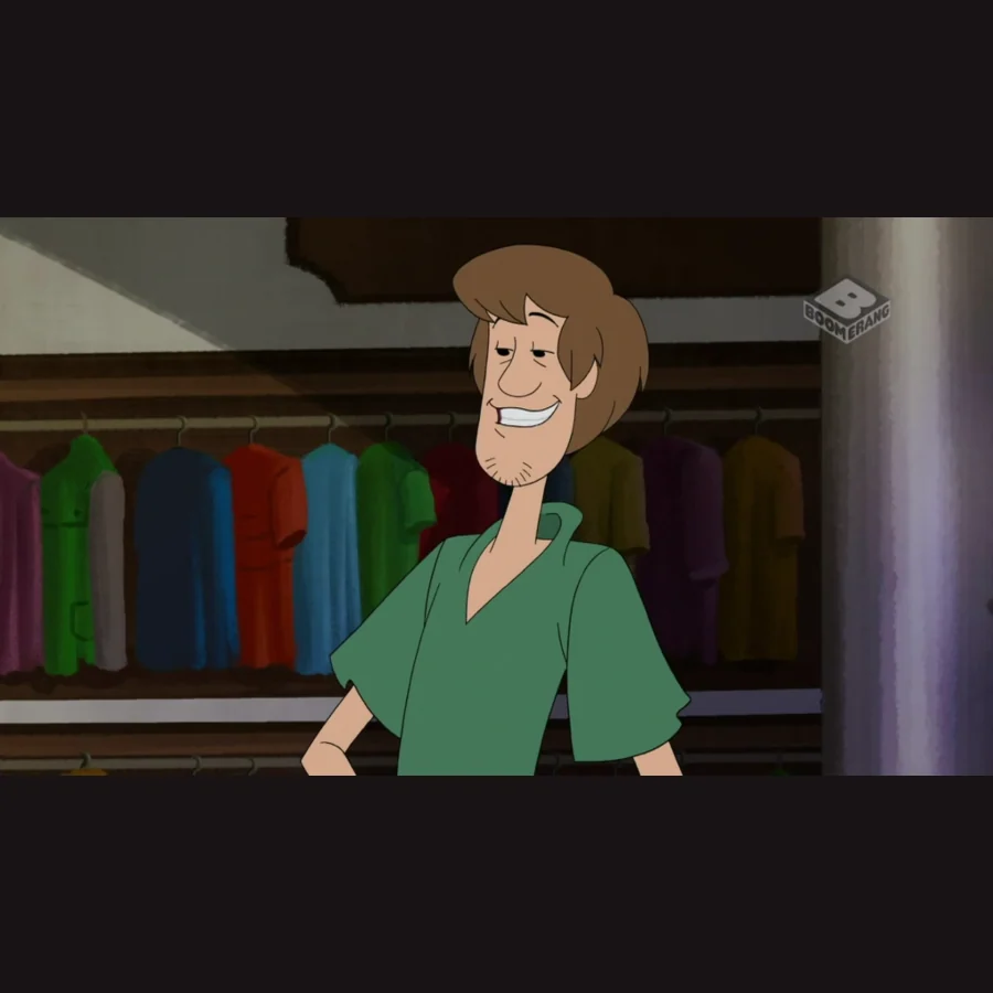 Shaggy Rogers — Scooby-Doo character artwork